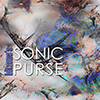 cover picture: bitzone's Sonic Purse
